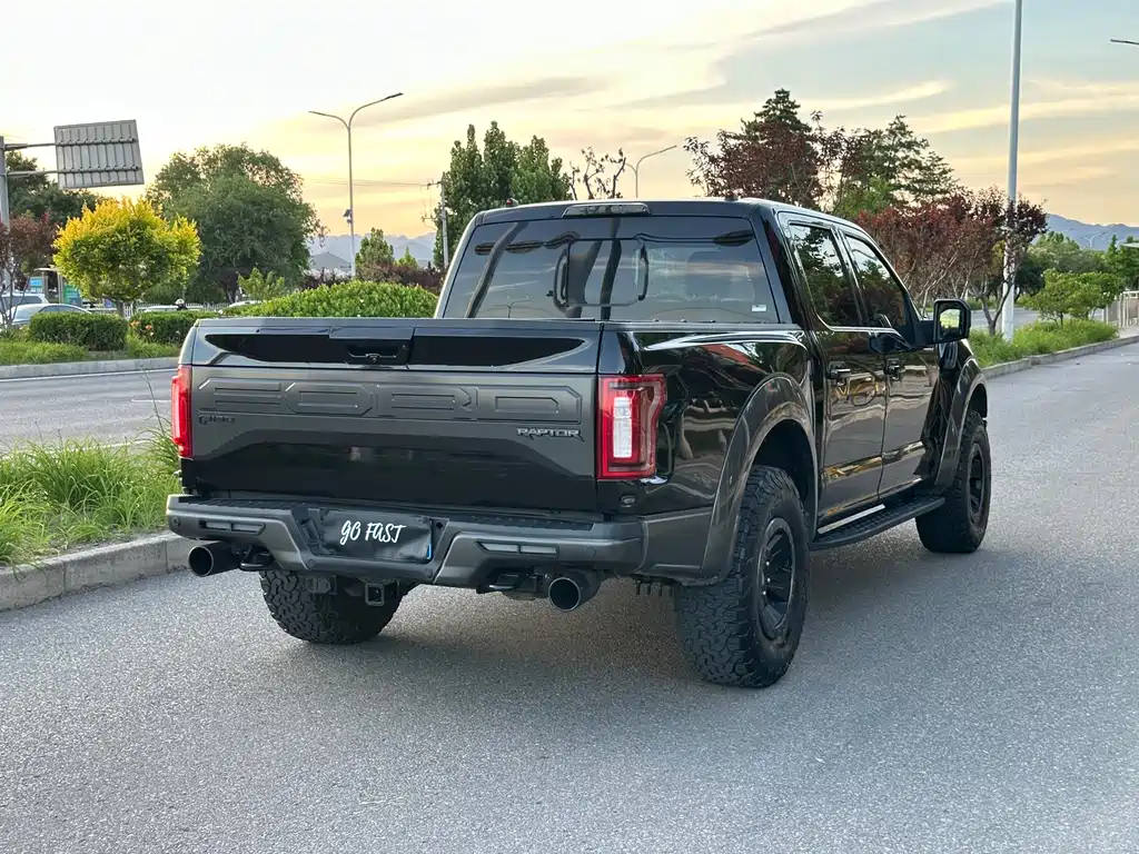 Ford F-150 Raptor 2017 — фото 4