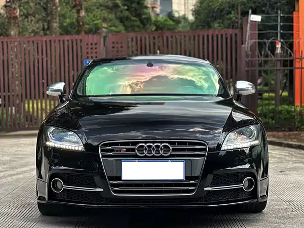 Audi TTS 2013