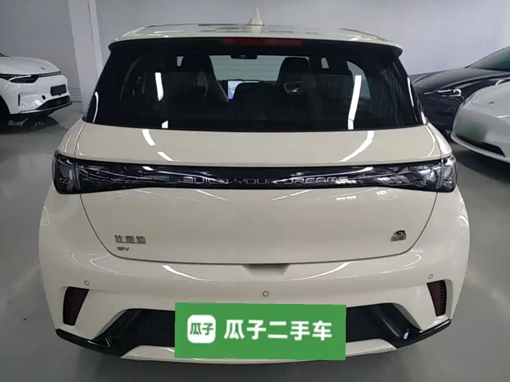 BYD Dolphin 2022