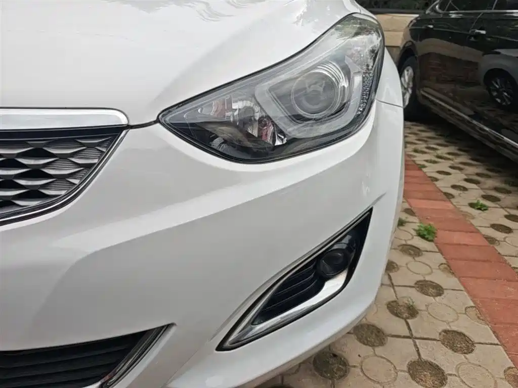 Hyundai Elantra Langdong 2017 — фото 24