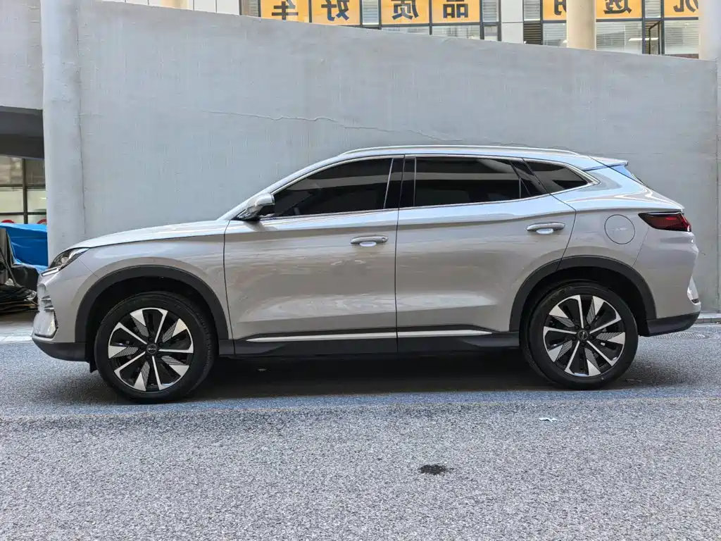 BYD Song PLUS New Energy 2024 — фото 3