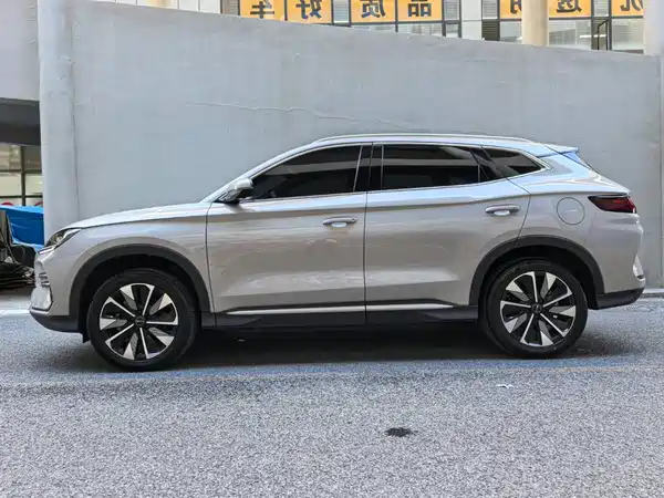 BYD Song PLUS New Energy 2024