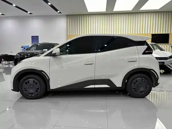 BYD Seagull 2025