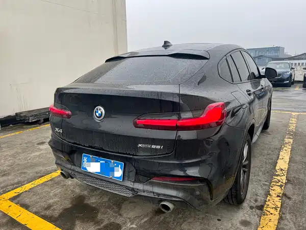 BMW X4 2019