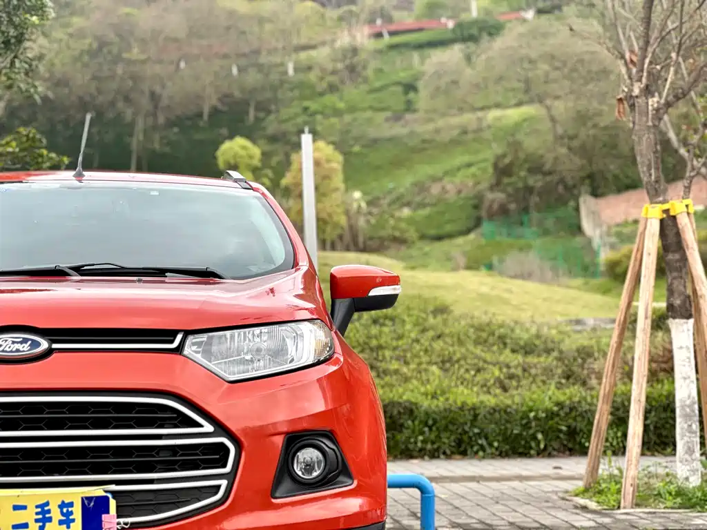 Ford Ecosport 2013 — фото 10