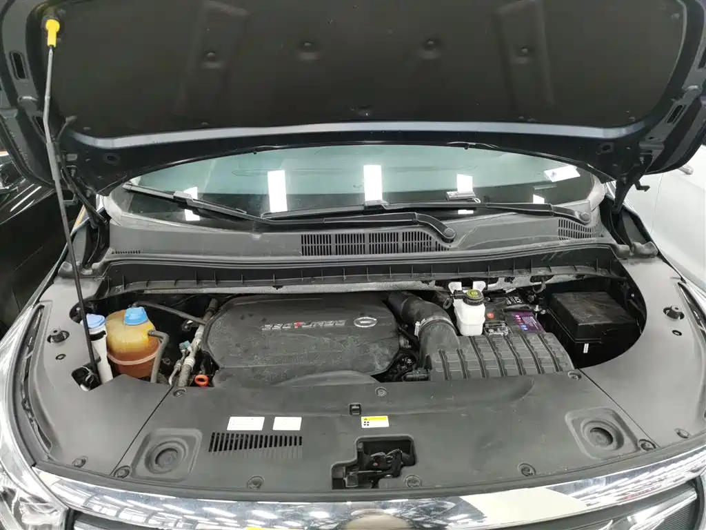 GAC Motor Trumpchi M8 2020 — фото 16