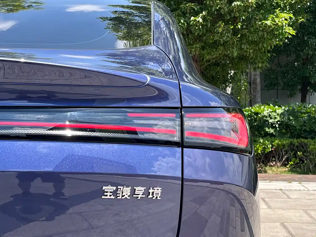 Baojun Enjoys The Environment 2025 — фото 13