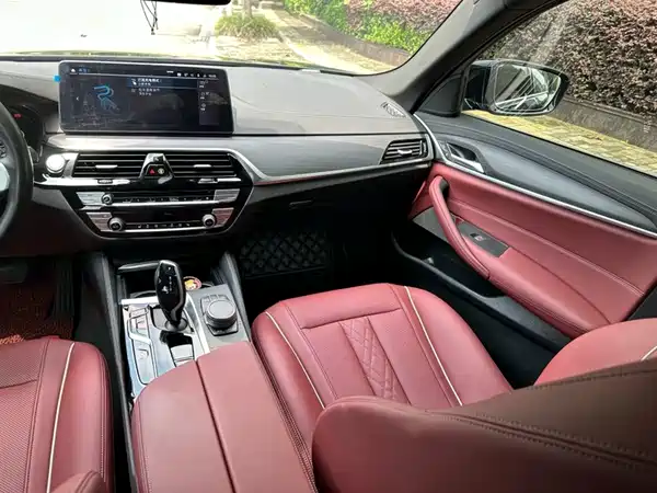 BMW 5 Series New Energy 2022