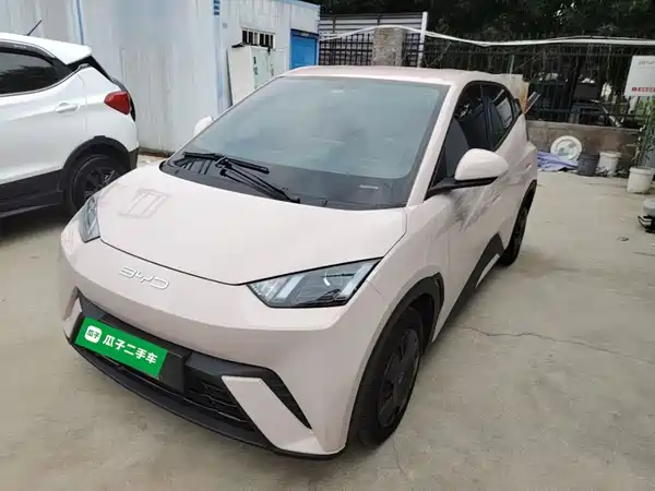 BYD Seagull 2024
