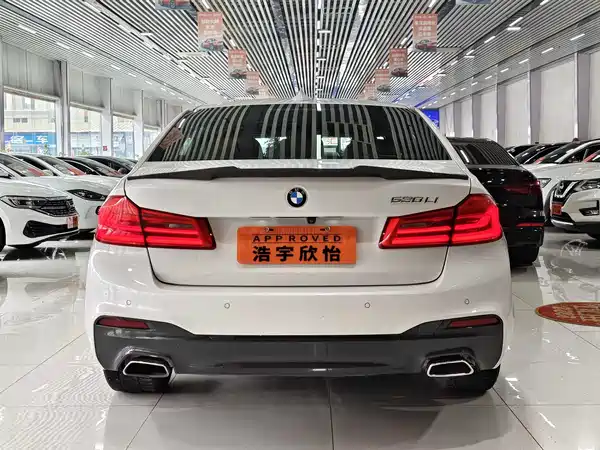 BMW 5 Series 2019