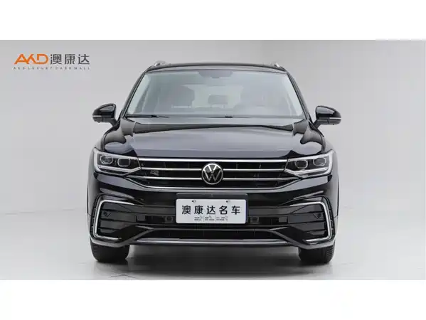 Volkswagen Tiguan L 2024