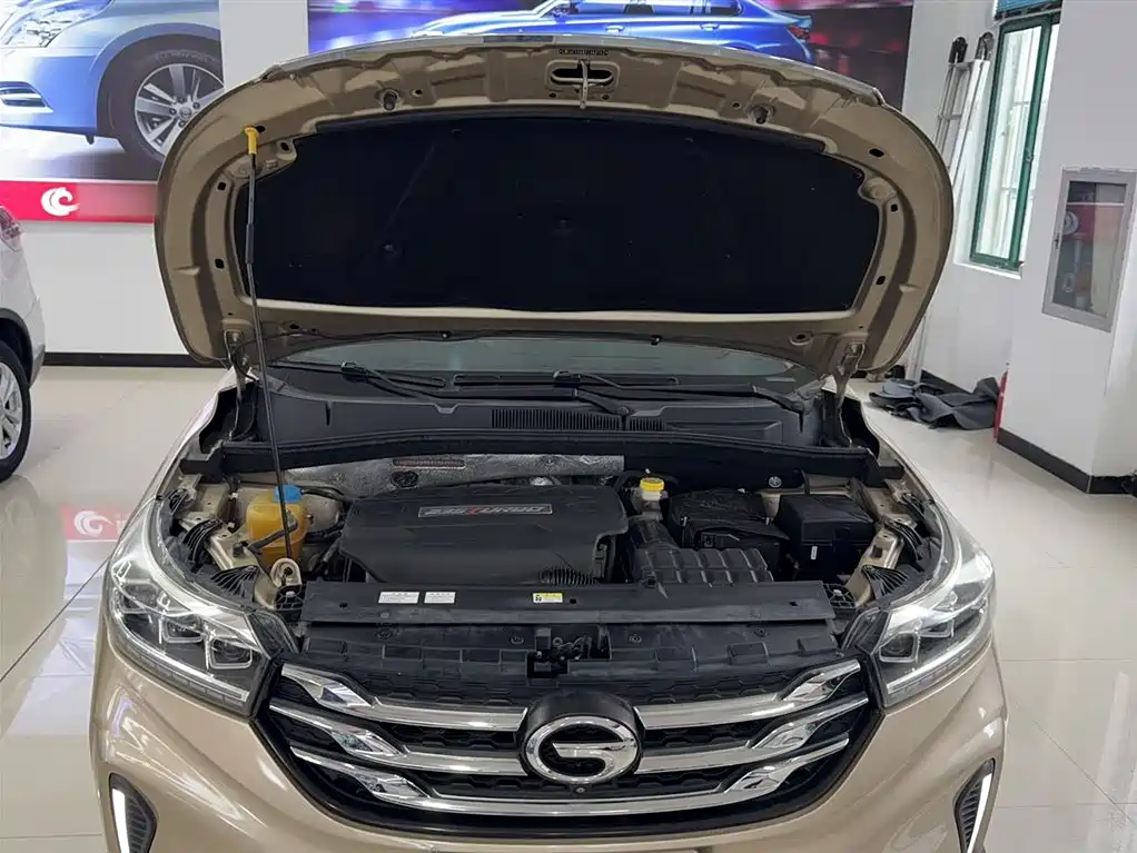 GAC Motor Trumpchi GS4 2019 — фото 23