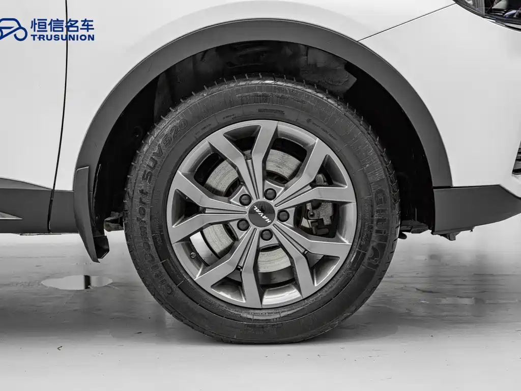 Haval H6 2021 — фото 11