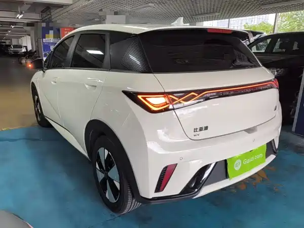 BYD Dolphin 2024