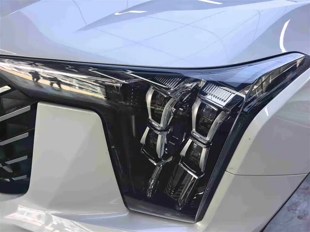 GAC Motor Trumpchi GS8 2021 — фото 12