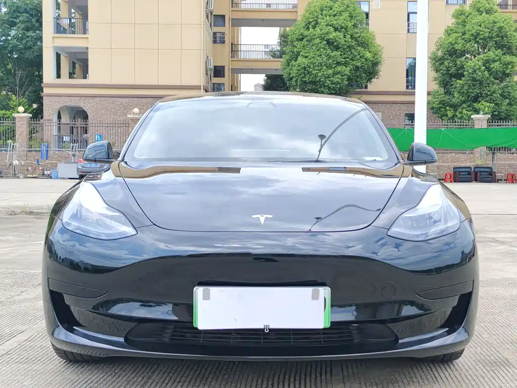 Tesla Model 3 2021 — фото 2