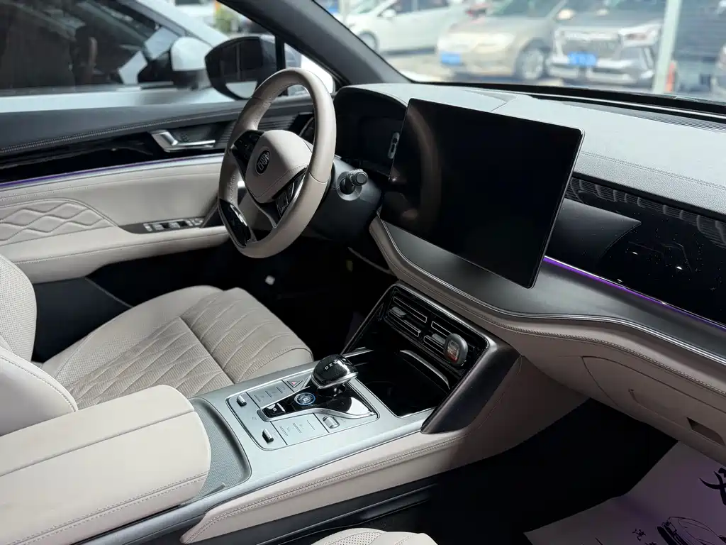 BYD Tang New Energy 2024