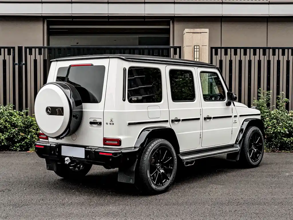 Mercedes-Benz G-Class 2018 — фото 5