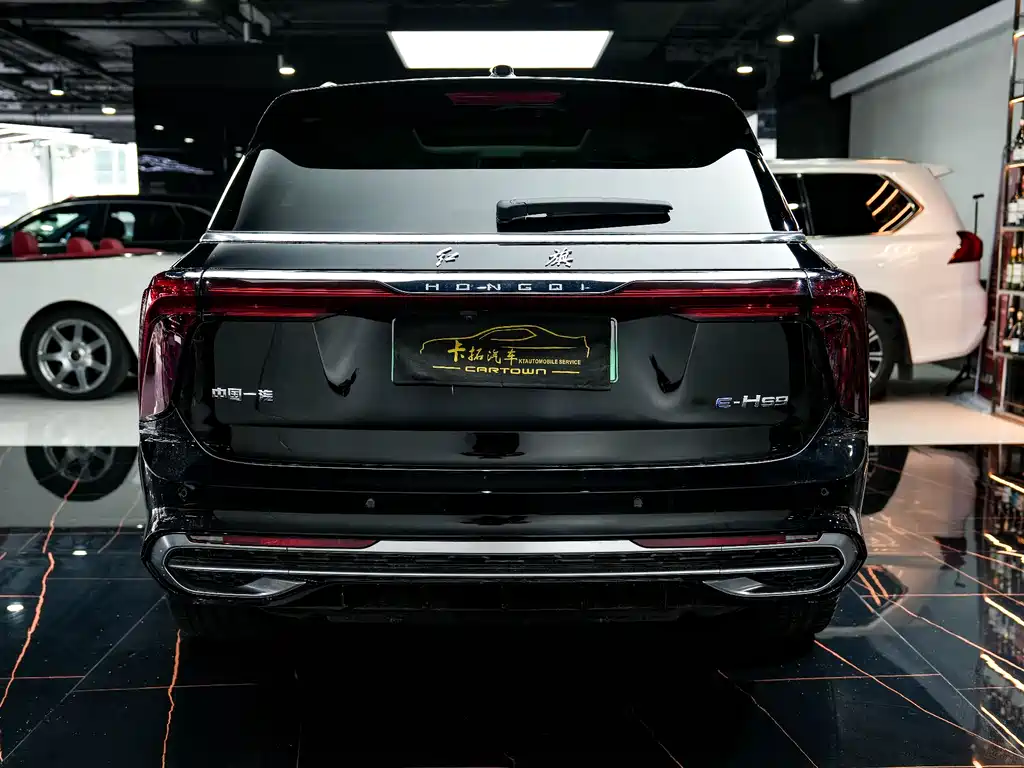 Hongqi E-HS9 2022 — фото 30