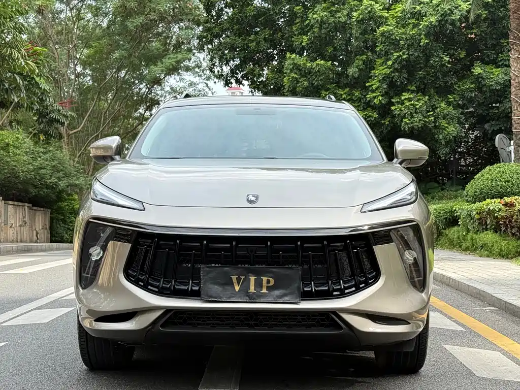 Dongfeng Fengxing T5 EVO 2021 — фото 2