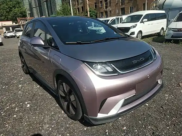 BYD Dolphin 2021
