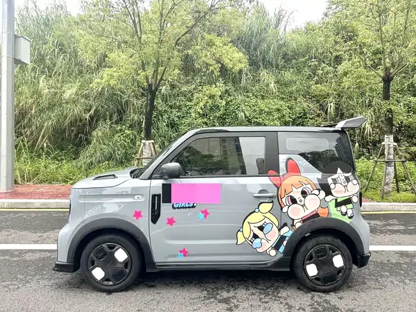 Geely Galaxy Panda 2024