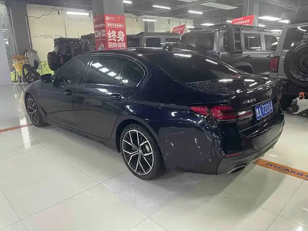 BMW 5 Series 2019