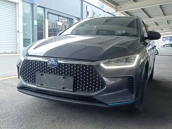 BYD e2 2020