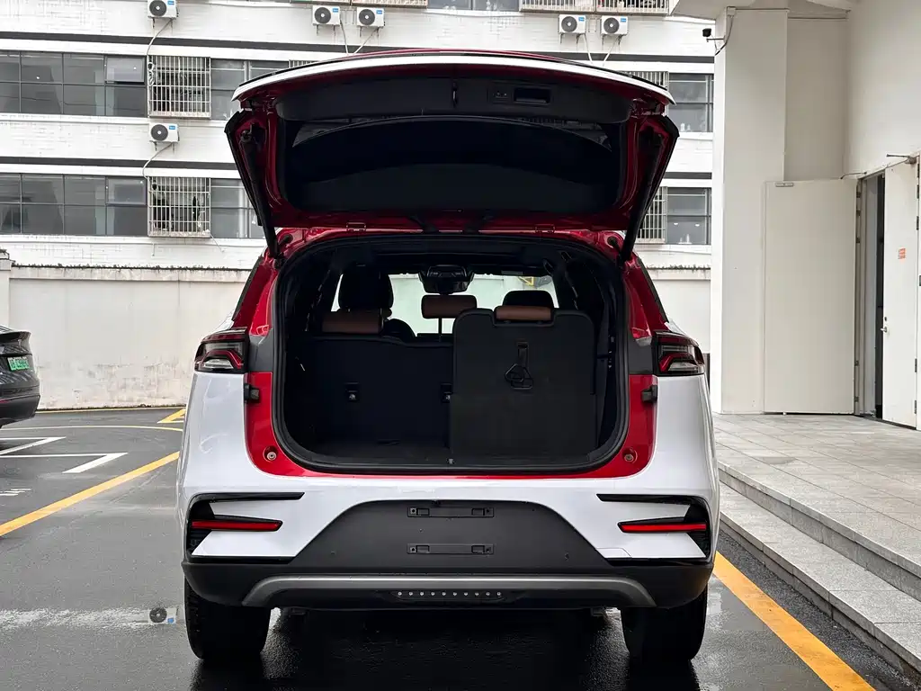 BYD Tang New Energy 2021 — фото 10