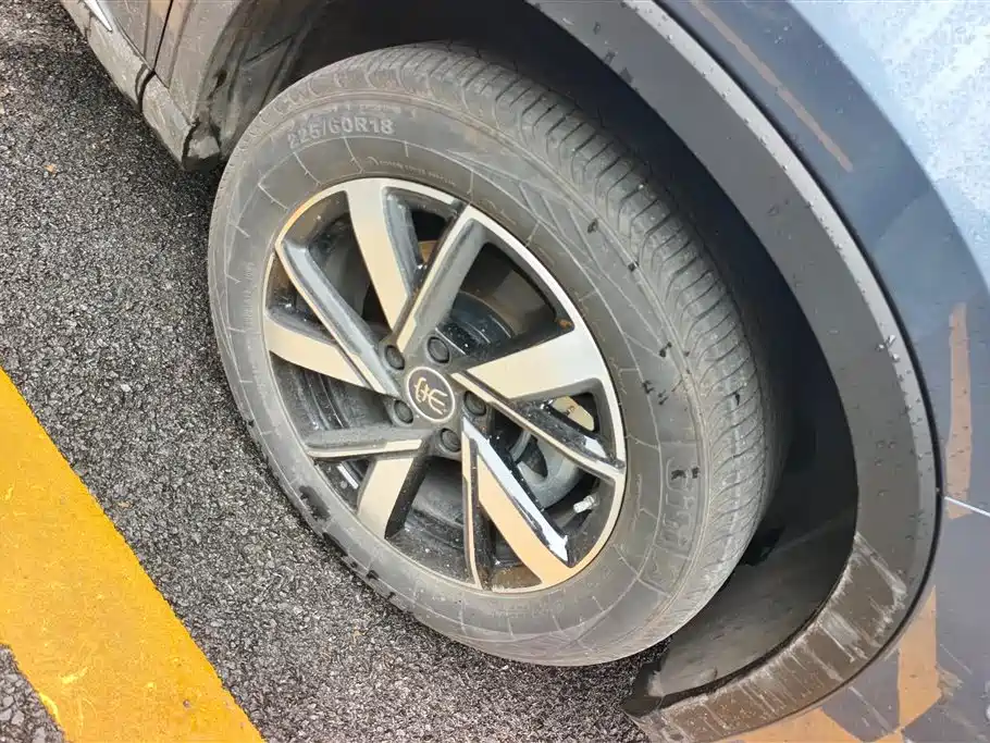 BYD Pro New Energy 2024