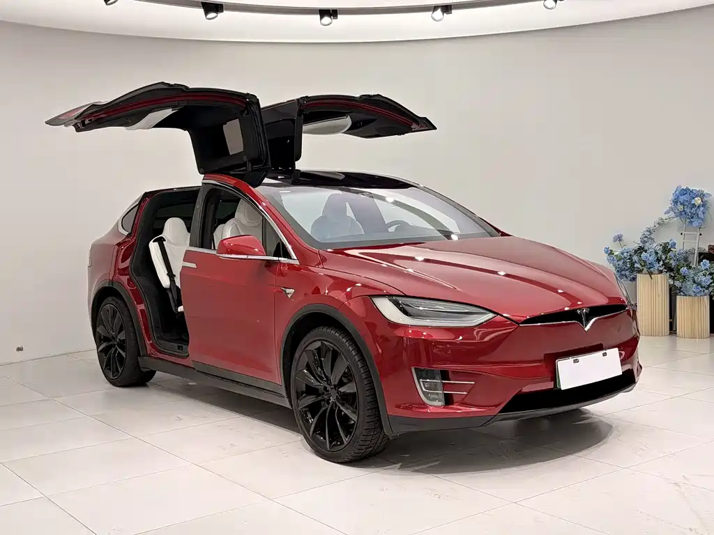 Tesla Model X 2019 — фото 12