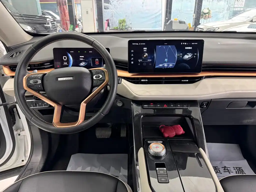 Haval H6 2020 — фото 13