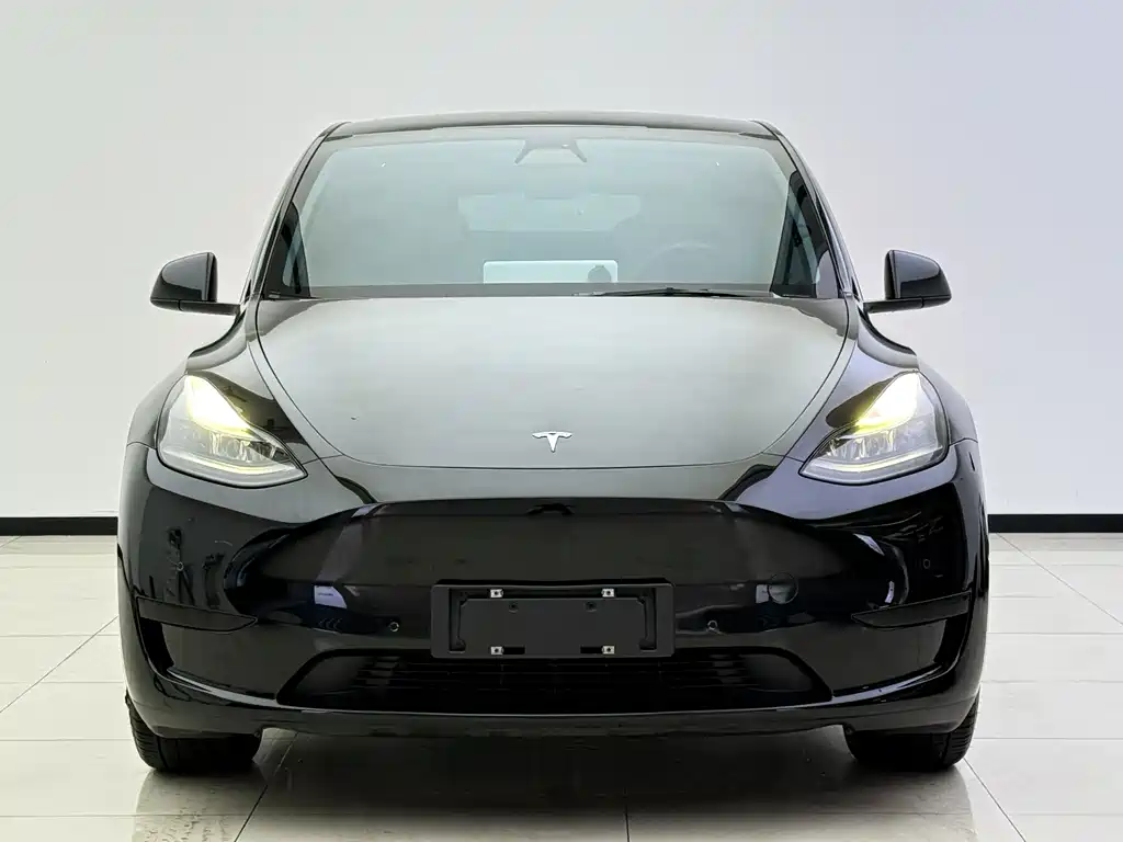 Tesla Model Y 2022 — фото 2
