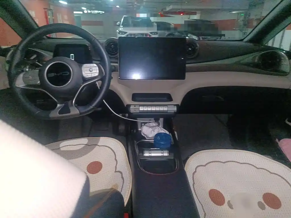 BYD Dolphin 2024