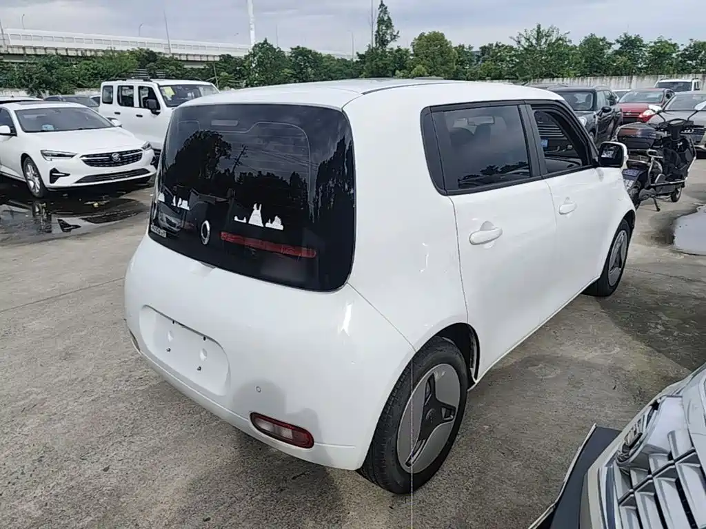 Ora White Cat 2021