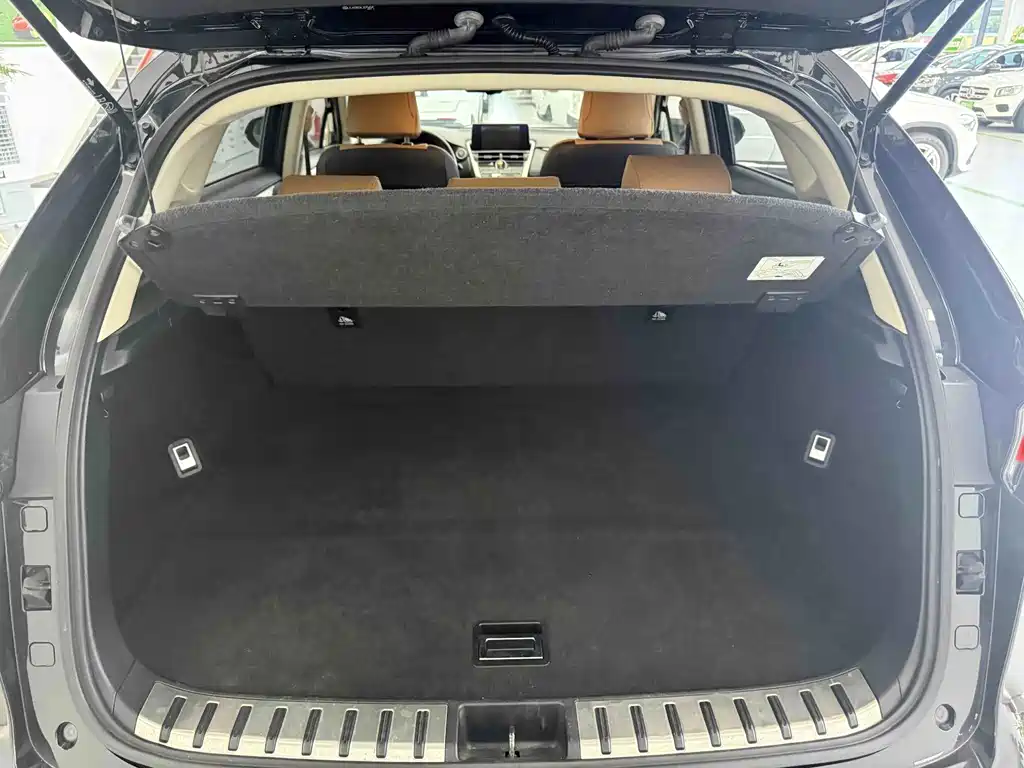 Lexus NX 2020 — фото 16