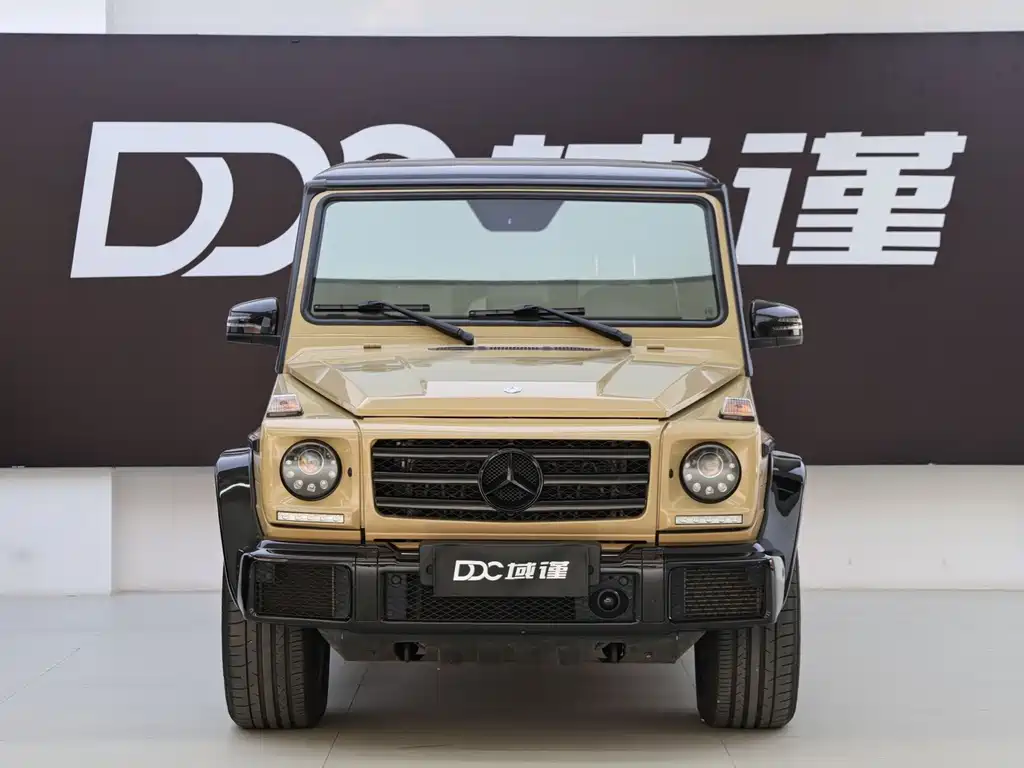 Mercedes-Benz G-Class 2017 — фото 3