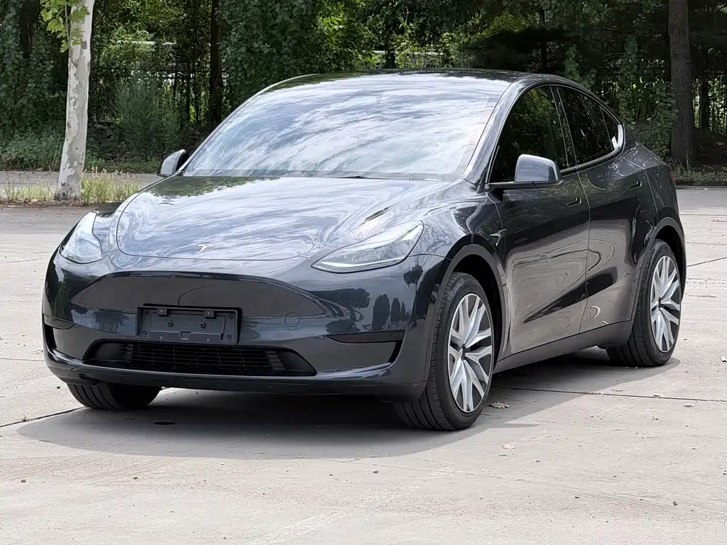 Tesla Model Y 2025 — фото 1