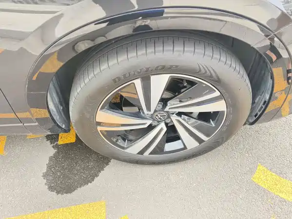 Volkswagen Tavendor 2024