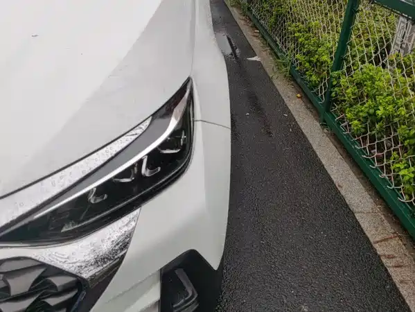 BAIC Chi Heng 2019