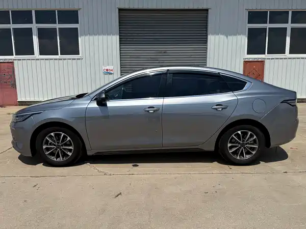 BYD Destroyer 05 2024