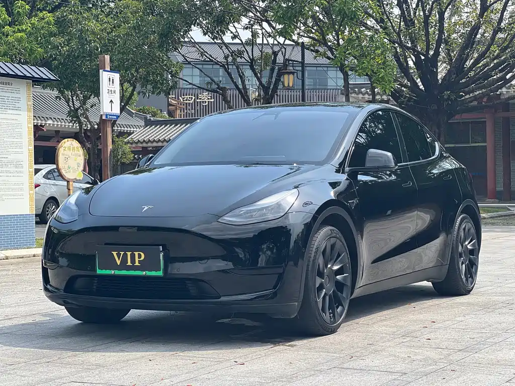 Tesla Model Y 2023 — фото 2