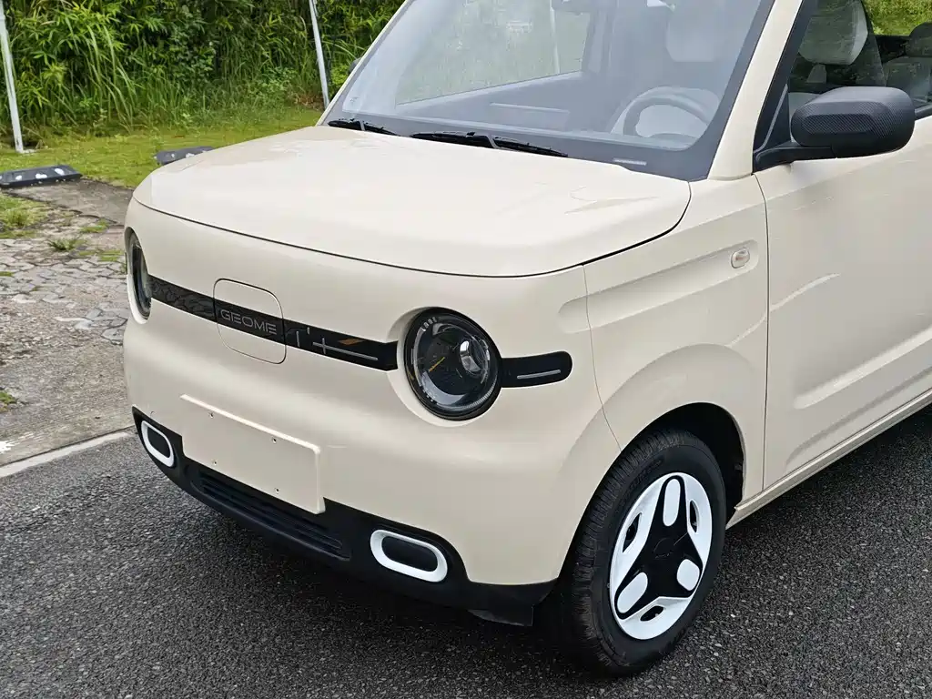 Geely Galaxy Panda 2025 — фото 8