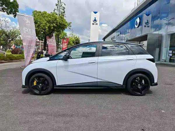 BYD Dolphin 2024