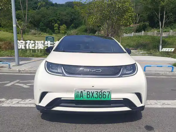 BYD Dolphin 2024