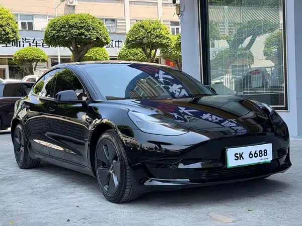 Tesla Model 3 2021
