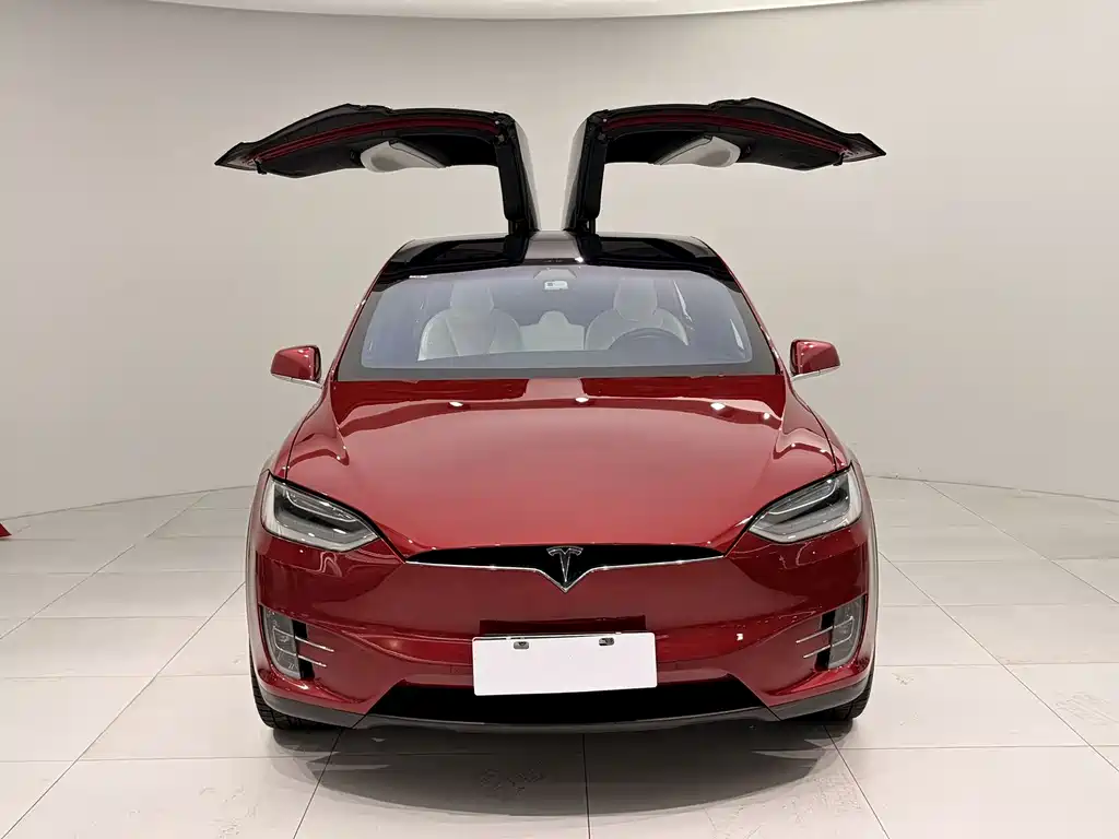 Tesla Model X 2019 — фото 2