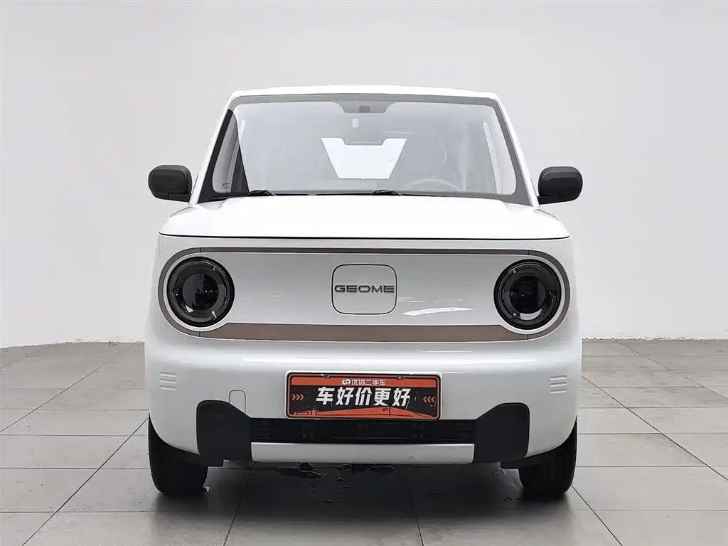 Galaxy Panda 2025