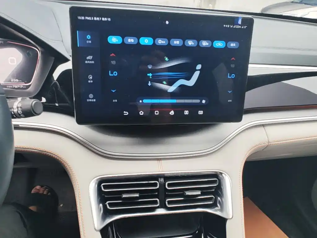 BYD Song PLUS New Energy 2022 — фото 13