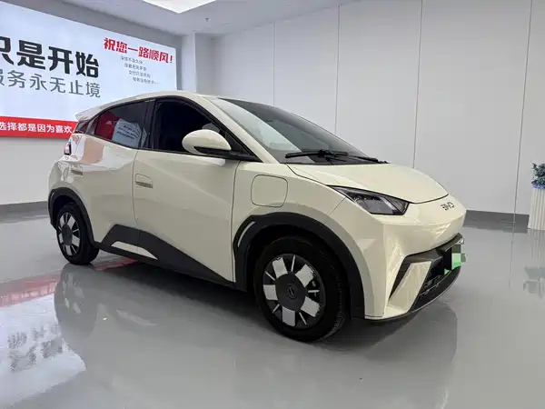 BYD Seagull 2024